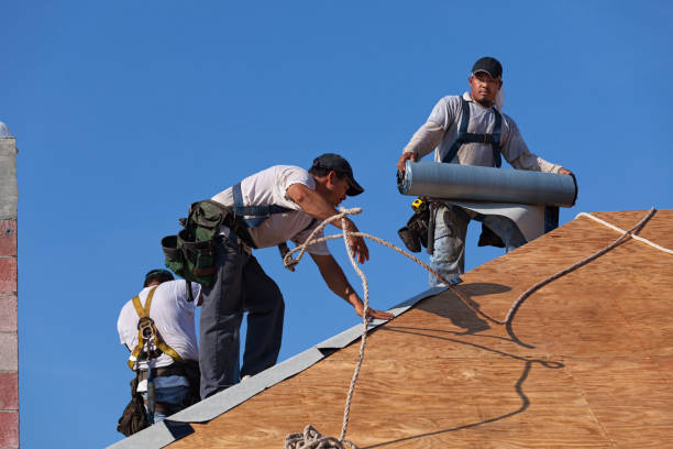 Roof Gutter Cleaning in Buchanan, MI