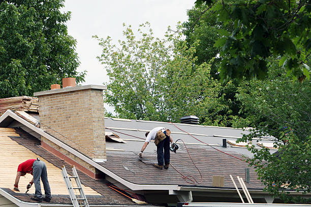 Best Storm Damage Roof Repair  in Buchanan, MI