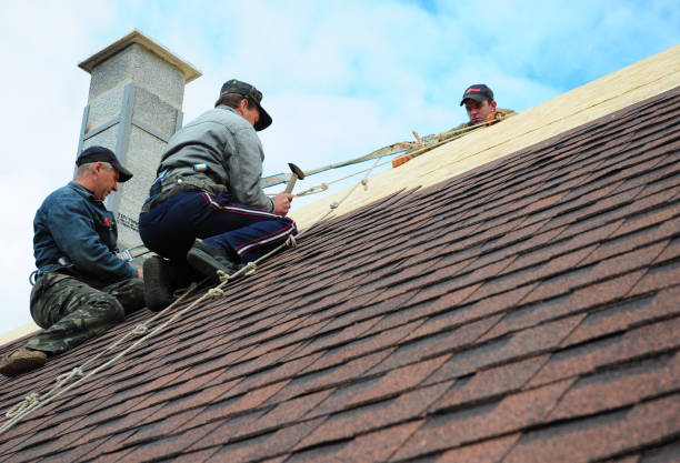 Best New Roof Installation  in Buchanan, MI