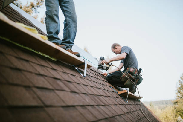 Best Roof Repair Services  in Buchanan, MI